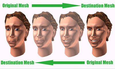 interpol.jpg (27506 �ֽ�)