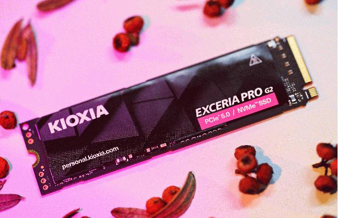 ����EXCERIA PRO™ ��������™ G2 (VE10) 1TB��